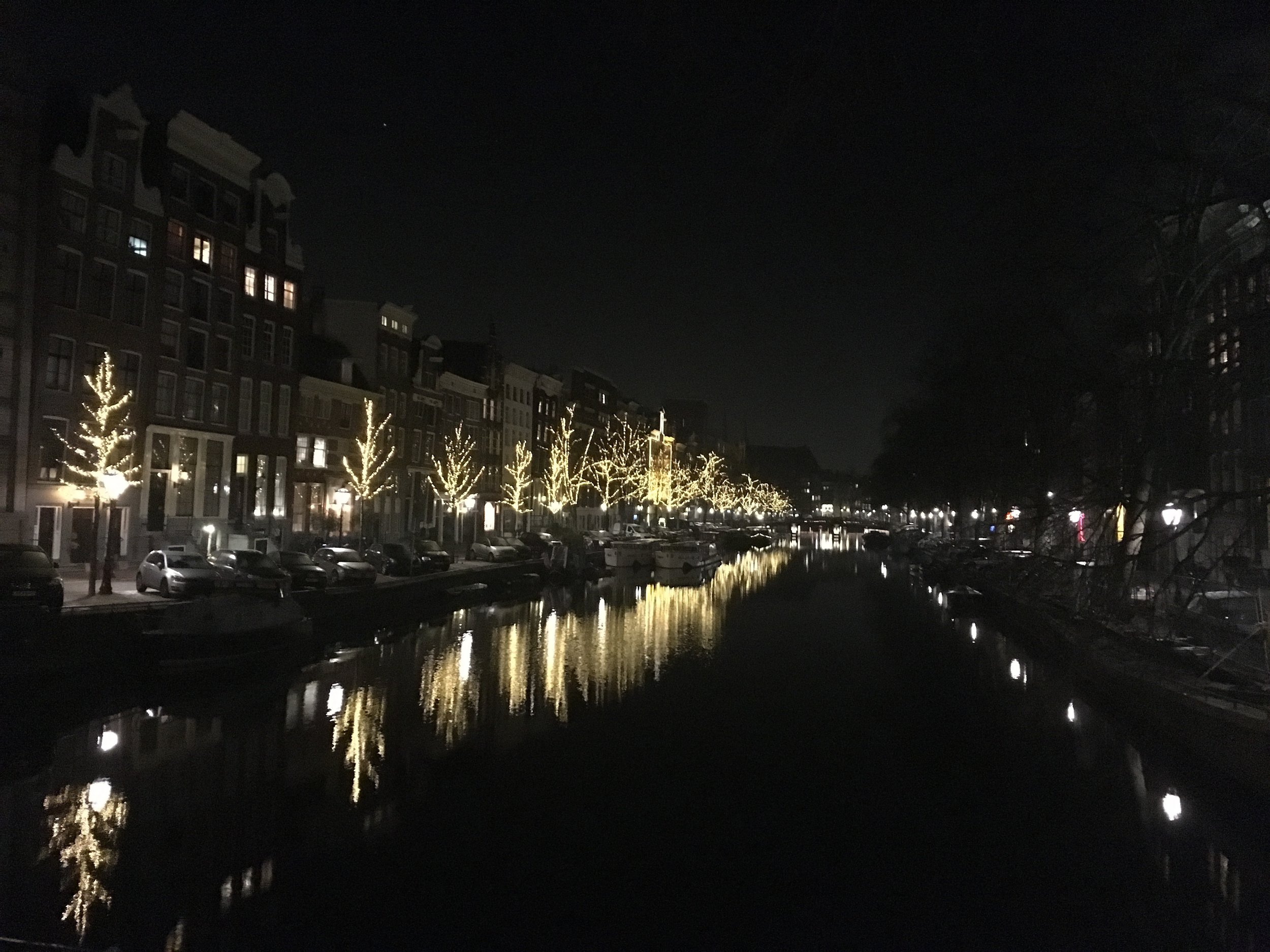 IMG_7648.jpg